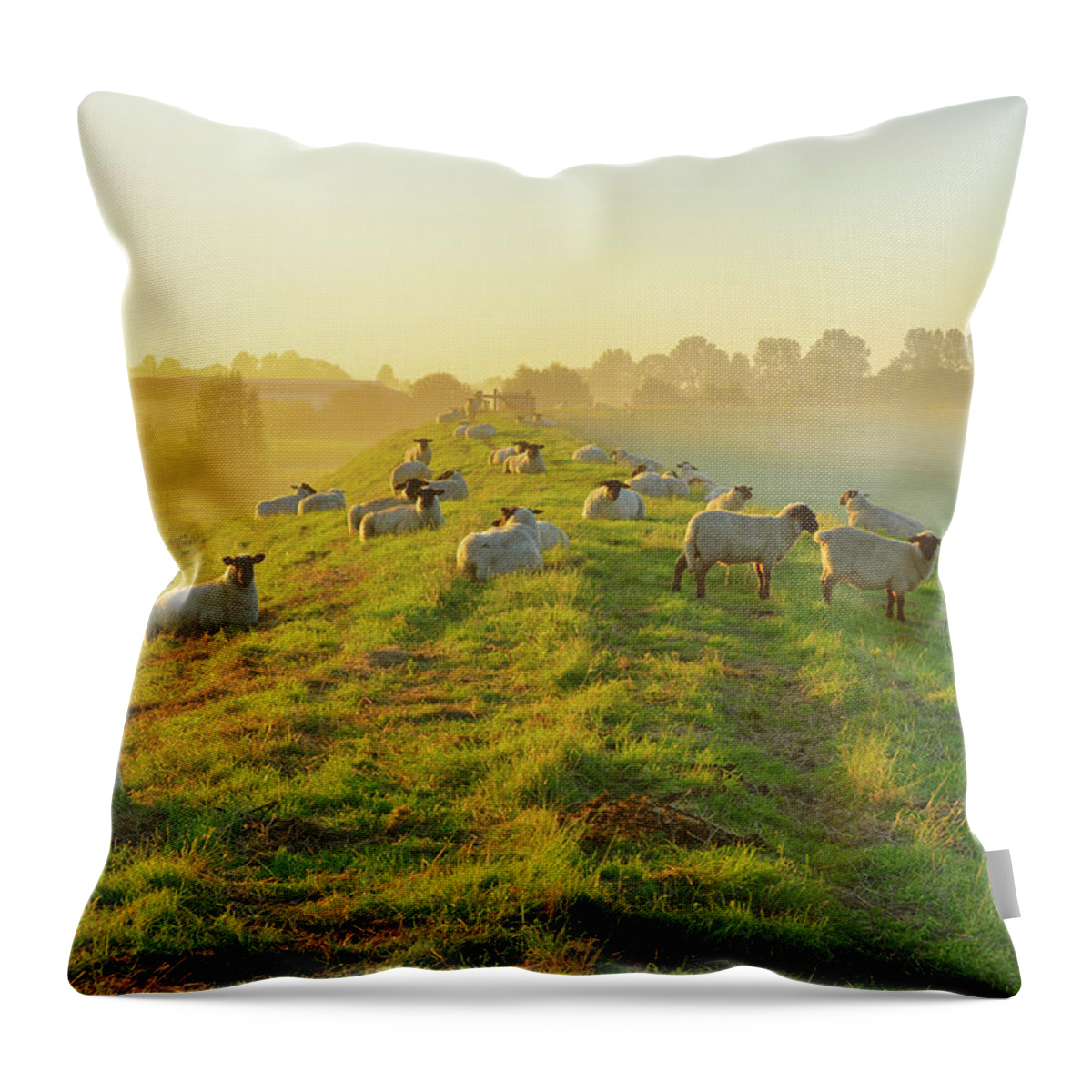 Scenics Throw Pillow featuring the photograph North Sea Dyke With Sheeps by Raimund Linke
