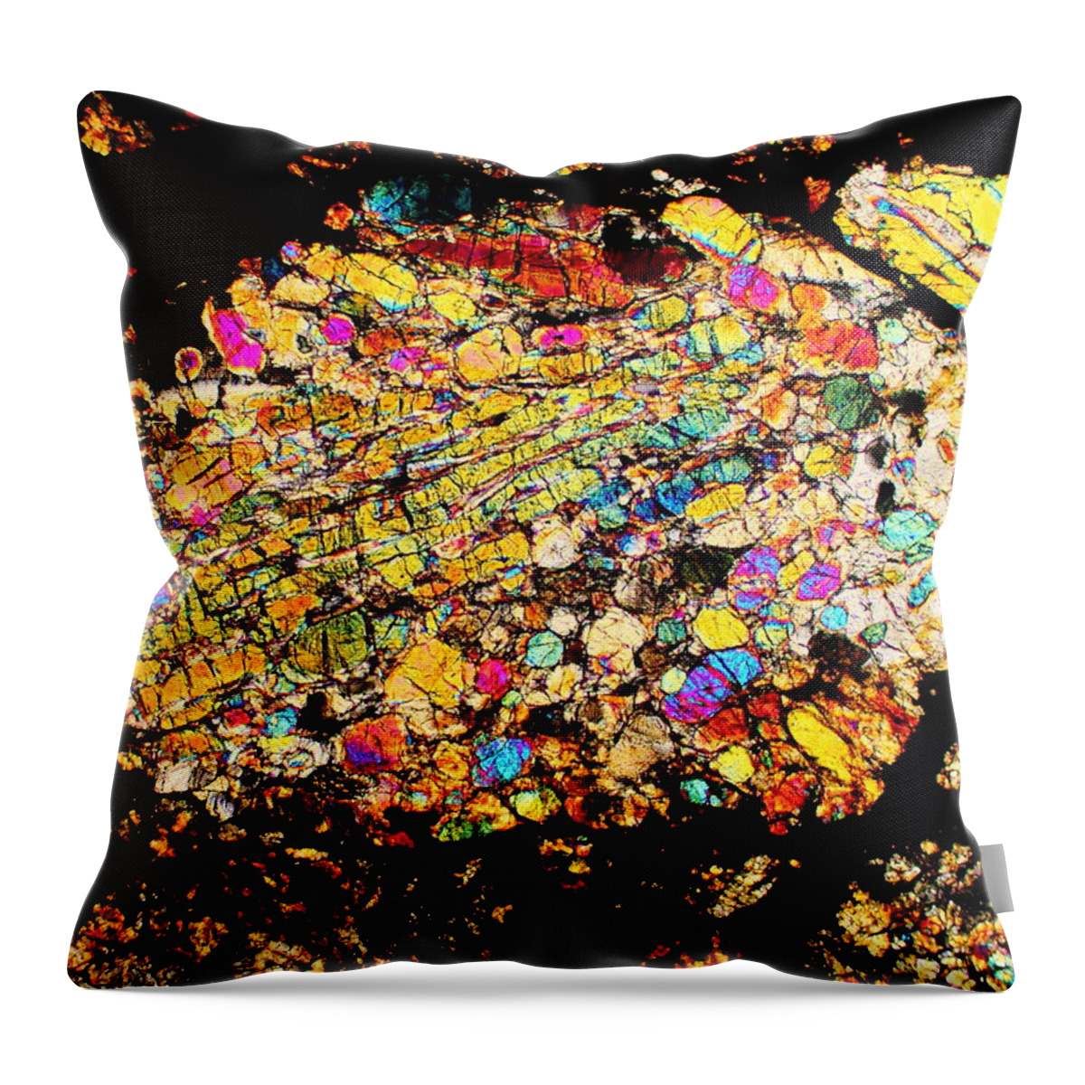 Meteorites Throw Pillow featuring the photograph Spring Flower by Hodges Jeffery