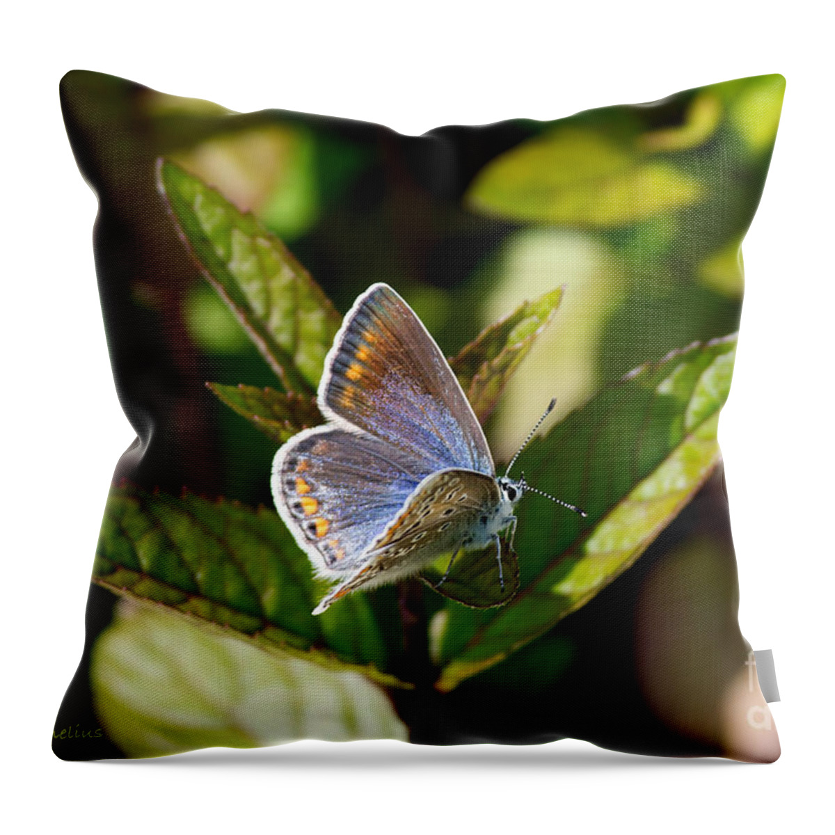 Northern Blue Throw Pillow featuring the photograph Northern Blue by Torbjorn Swenelius