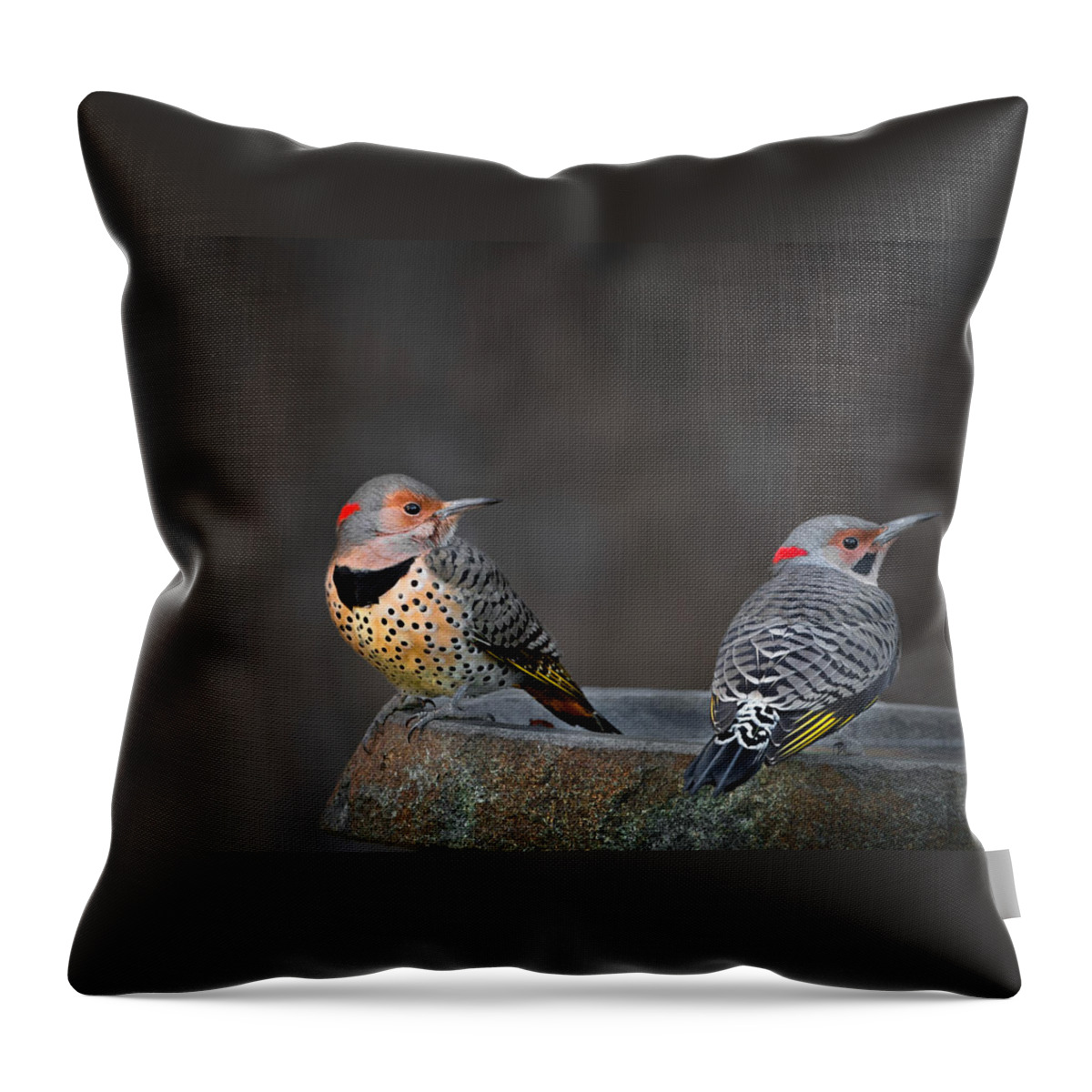  Throw Pillow featuring the photograph Northern Flickers by Bill Wakeley
