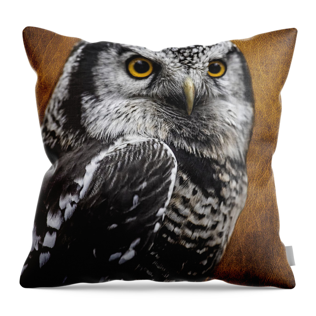 Northern Hawk Owl Throw Pillow featuring the photograph Northern Hawk Owl by Wes and Dotty Weber