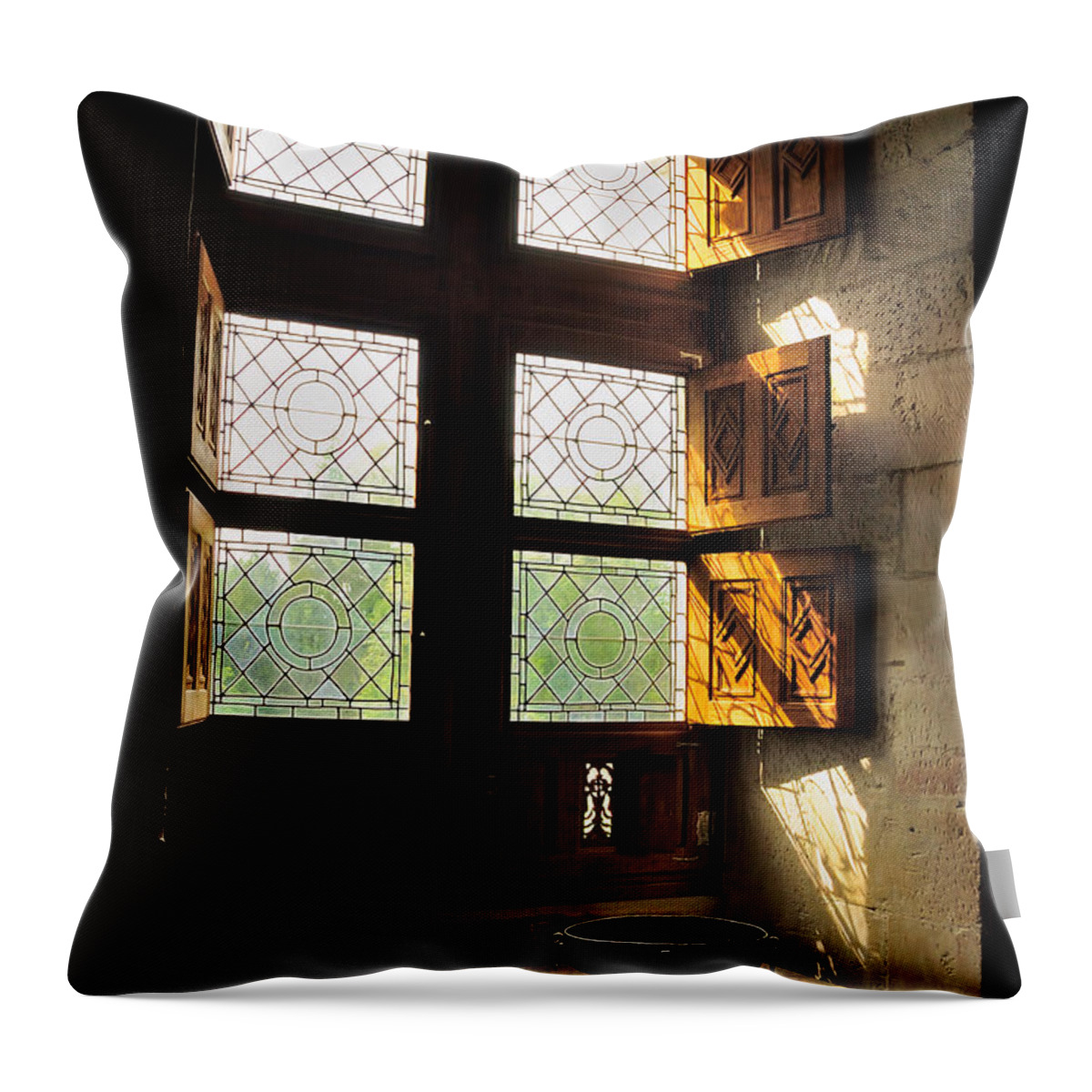 Loire Chateaux Throw Pillow featuring the photograph Northern Light by Nigel Fletcher-Jones