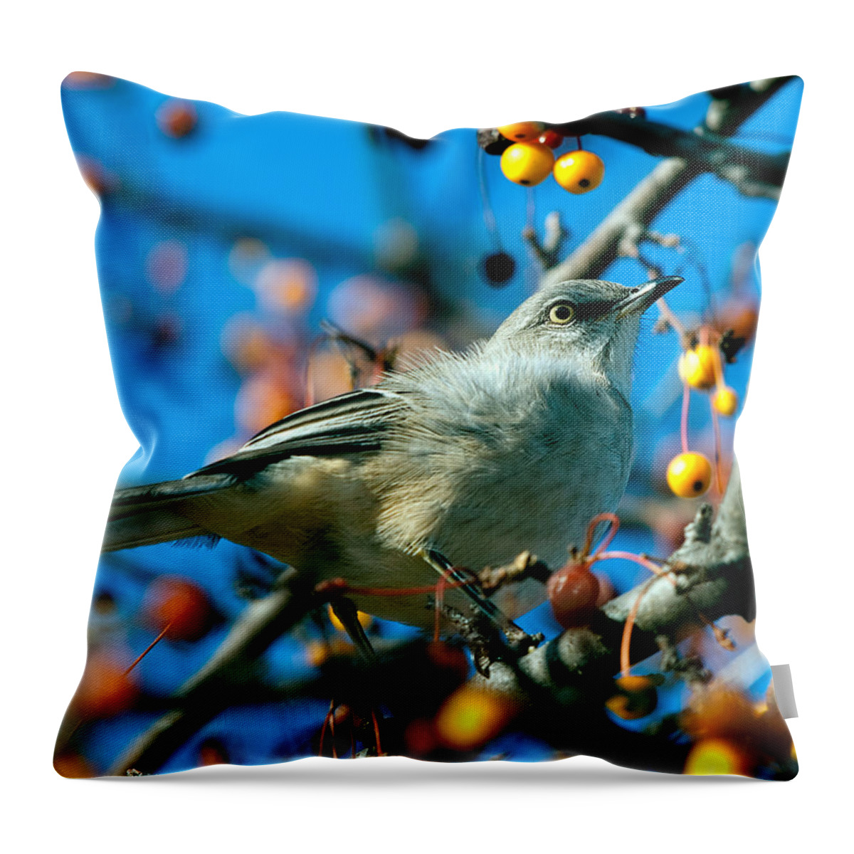 Mockingbird Throw Pillow featuring the photograph Northern Mockingbird by Bob Orsillo