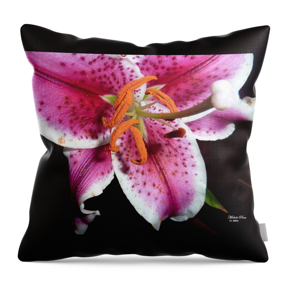 Flower Photograph Throw Pillow featuring the photograph Energized - Wild Orange by Michele Penn