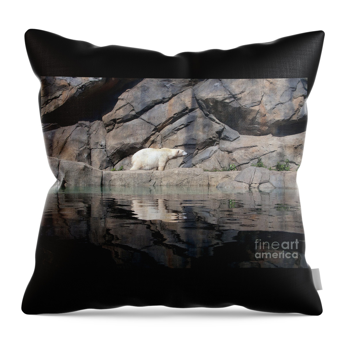 Chicagoland Throw Pillow featuring the photograph Not My Home by Ann Horn