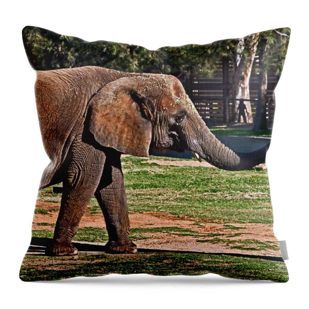 #elephant Throw Pillow featuring the photograph Not snack there by Miroslava Jurcik