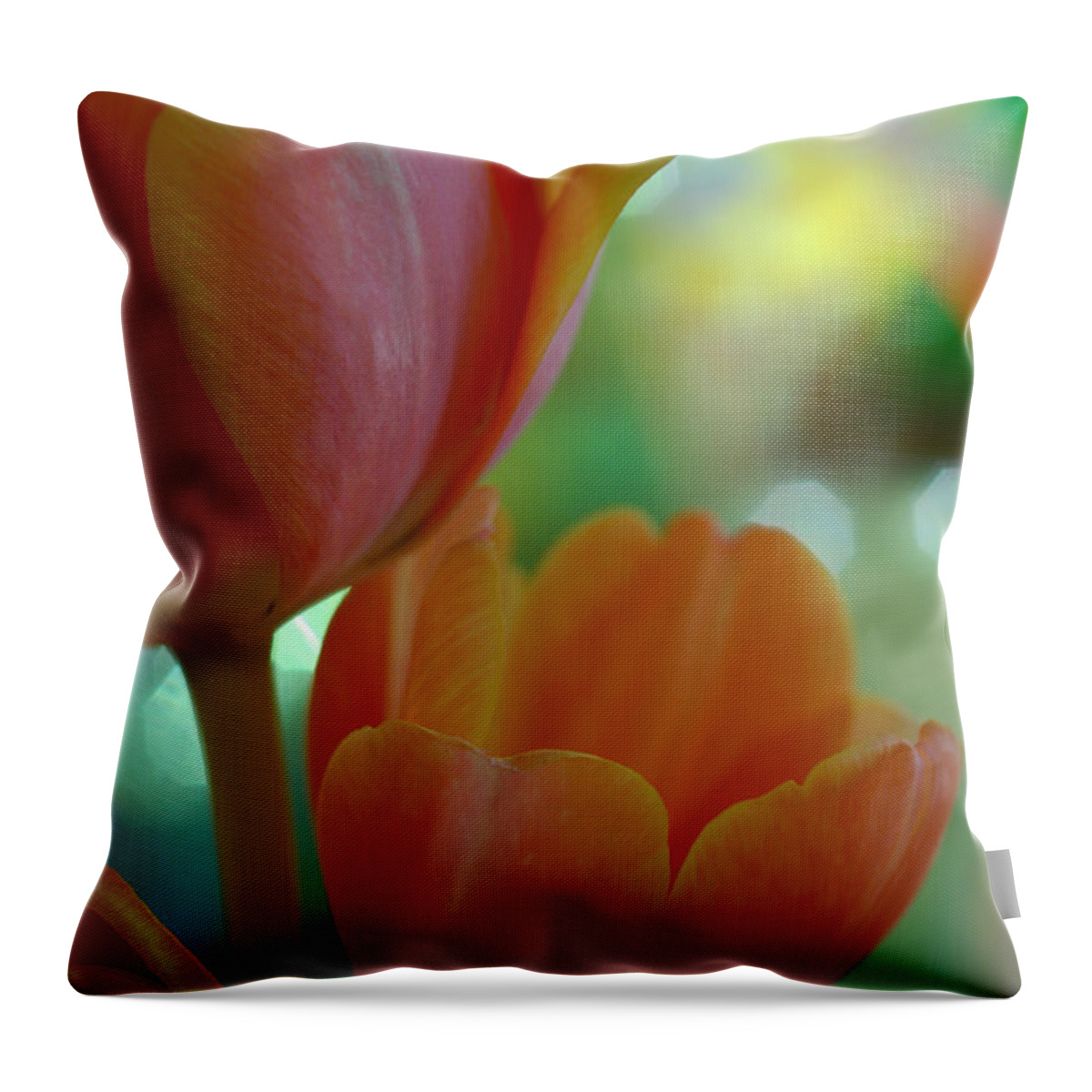 Tulips Throw Pillow featuring the photograph Nothing As Sweet As Your Tulips by Donna Blackhall
