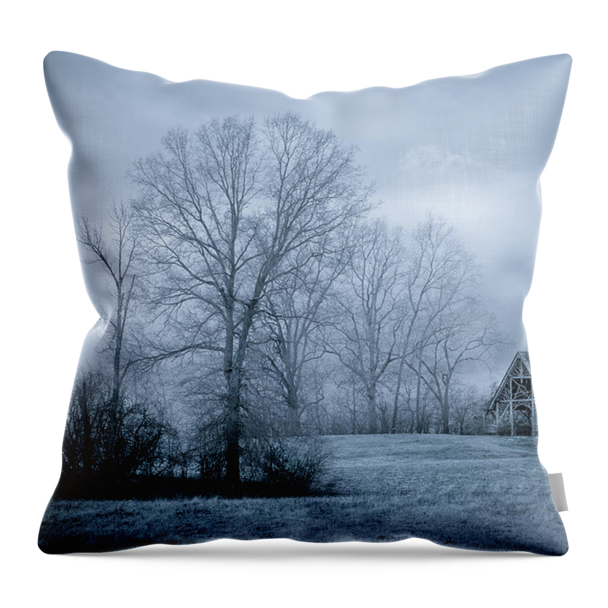 Cold Throw Pillow featuring the photograph November by Gary Heller