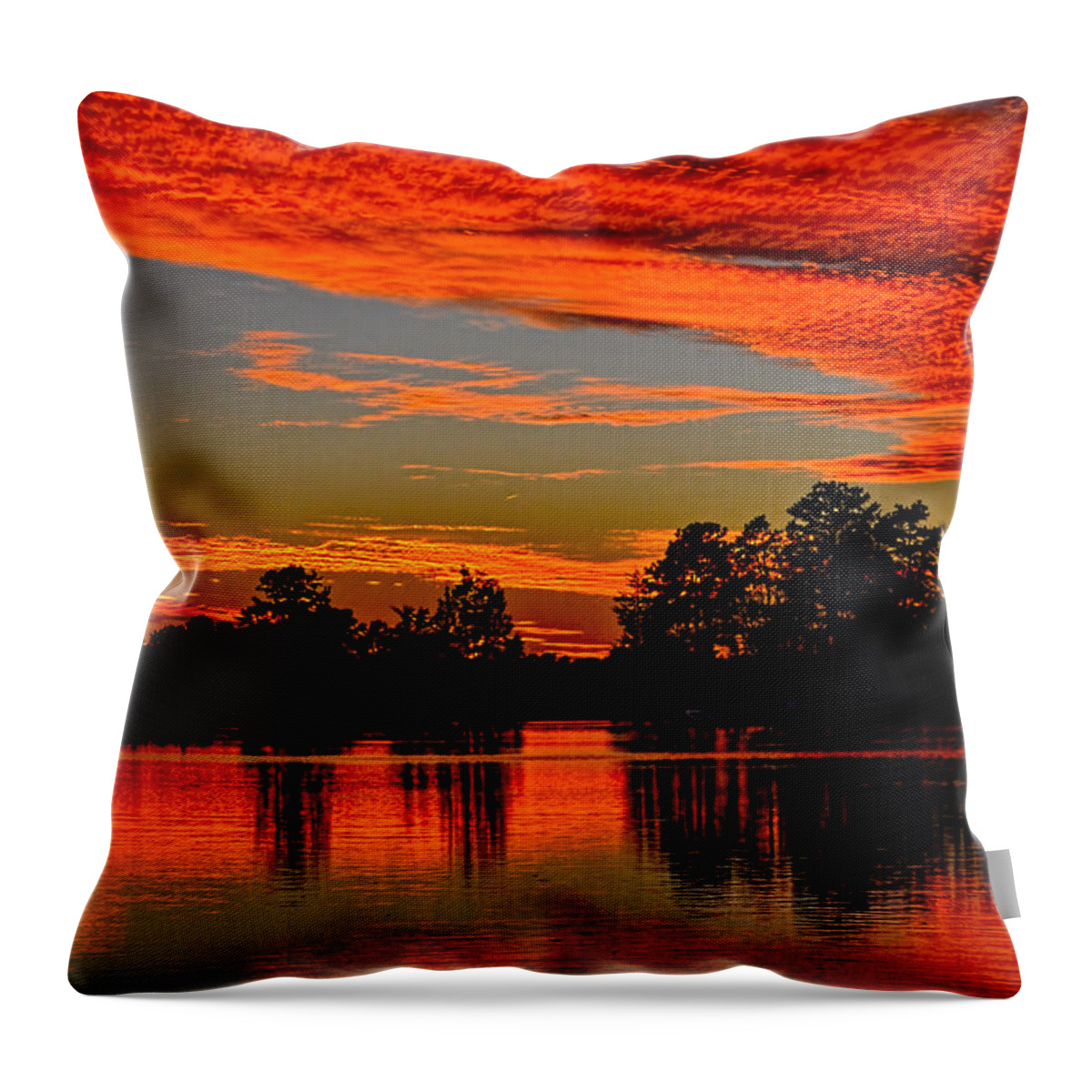 Sunset Throw Pillow featuring the photograph November Sunset by Beth Venner