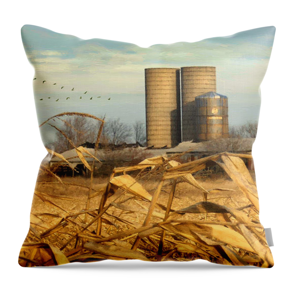 November Winds Throw Pillow featuring the digital art November Winds by Doug Kreuger