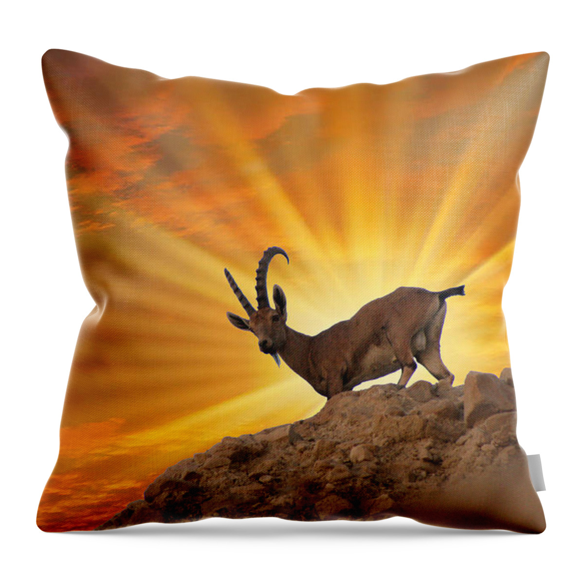 Nubian Ibex Throw Pillow featuring the photograph Nubian ibex #3 by Doc Braham