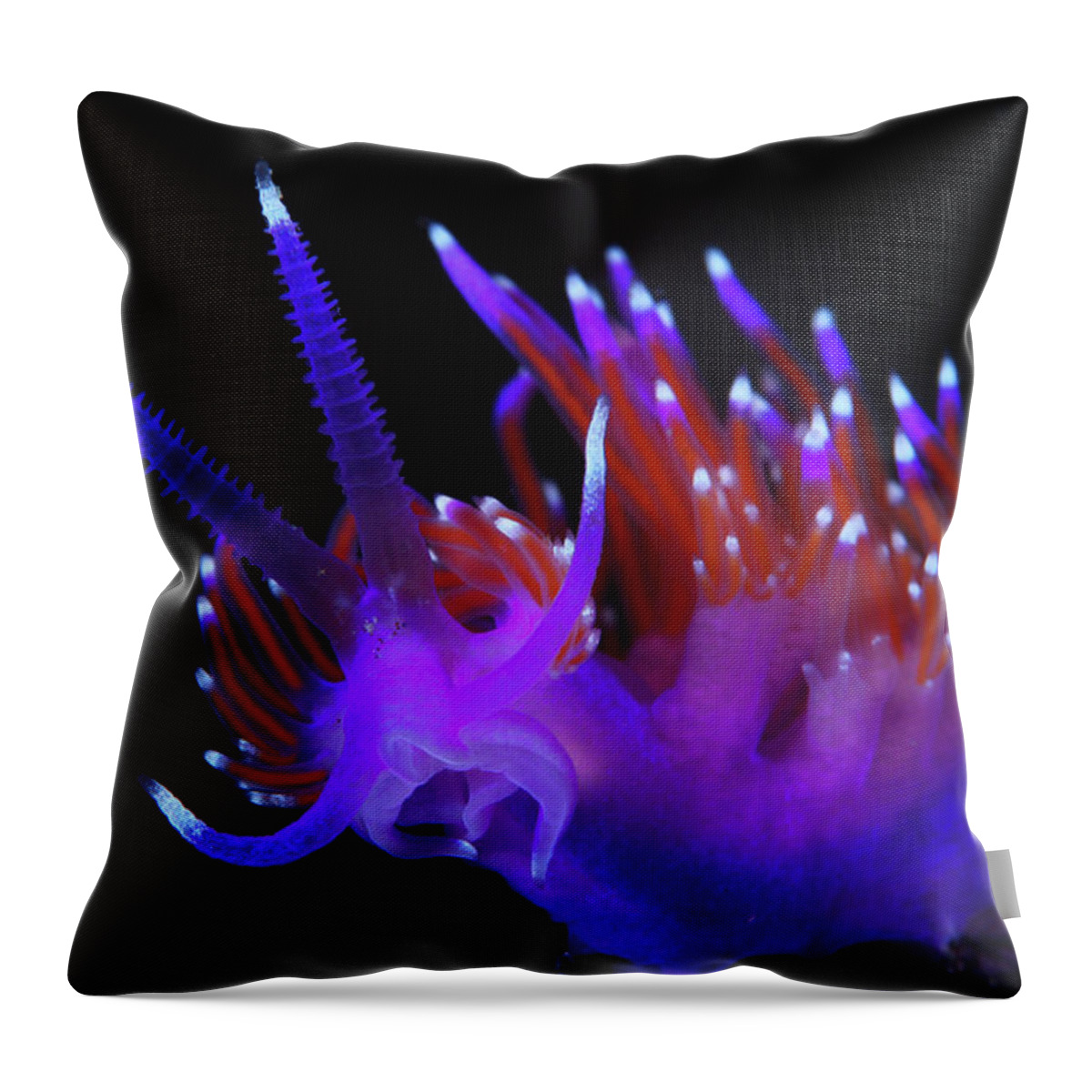Underwater Throw Pillow featuring the photograph Nudibranch by 548901005677