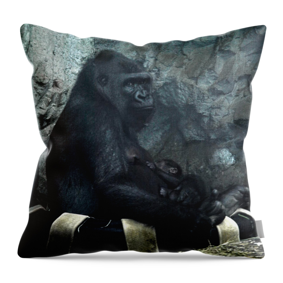 Lion Throw Pillow featuring the photograph Nurturing at The Buffalo Zoo by Michael Frank Jr