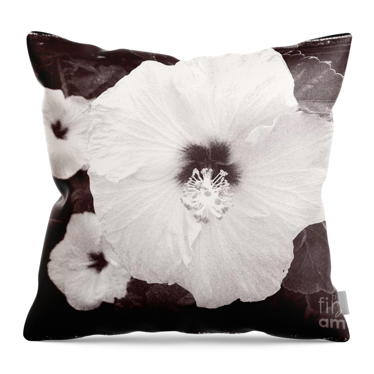 Hibiscus Throw Pillow featuring the photograph Oahu Hibiscus by Jamie Johnson