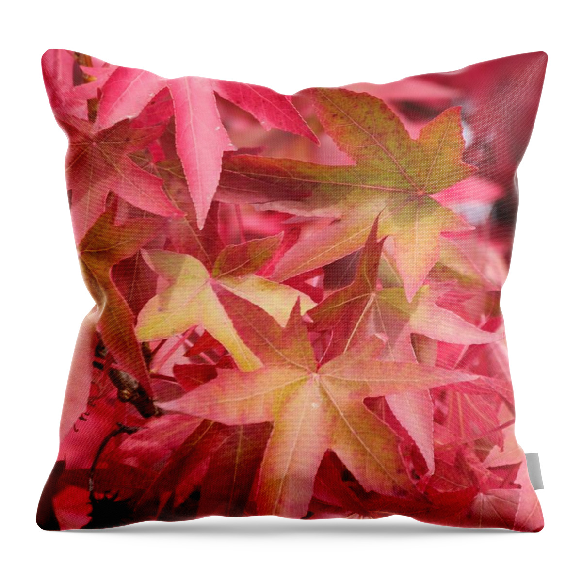 Oak Leaves Throw Pillow featuring the photograph Oak Leaves in the Fall by E Faithe Lester