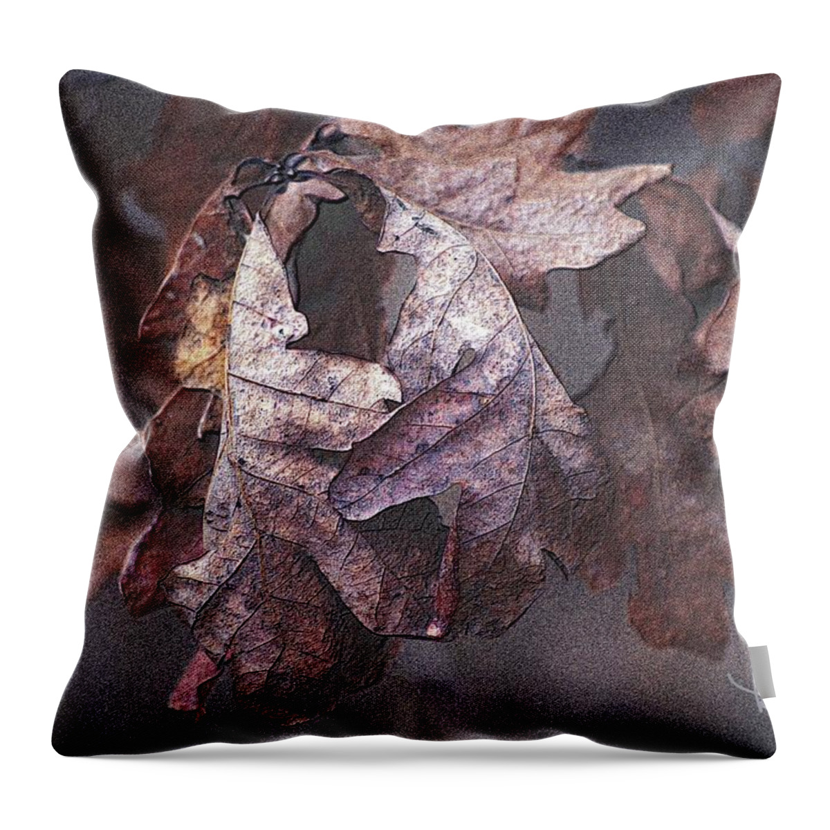 Abstract Throw Pillow featuring the photograph Oak Leaves by Ludwig Keck