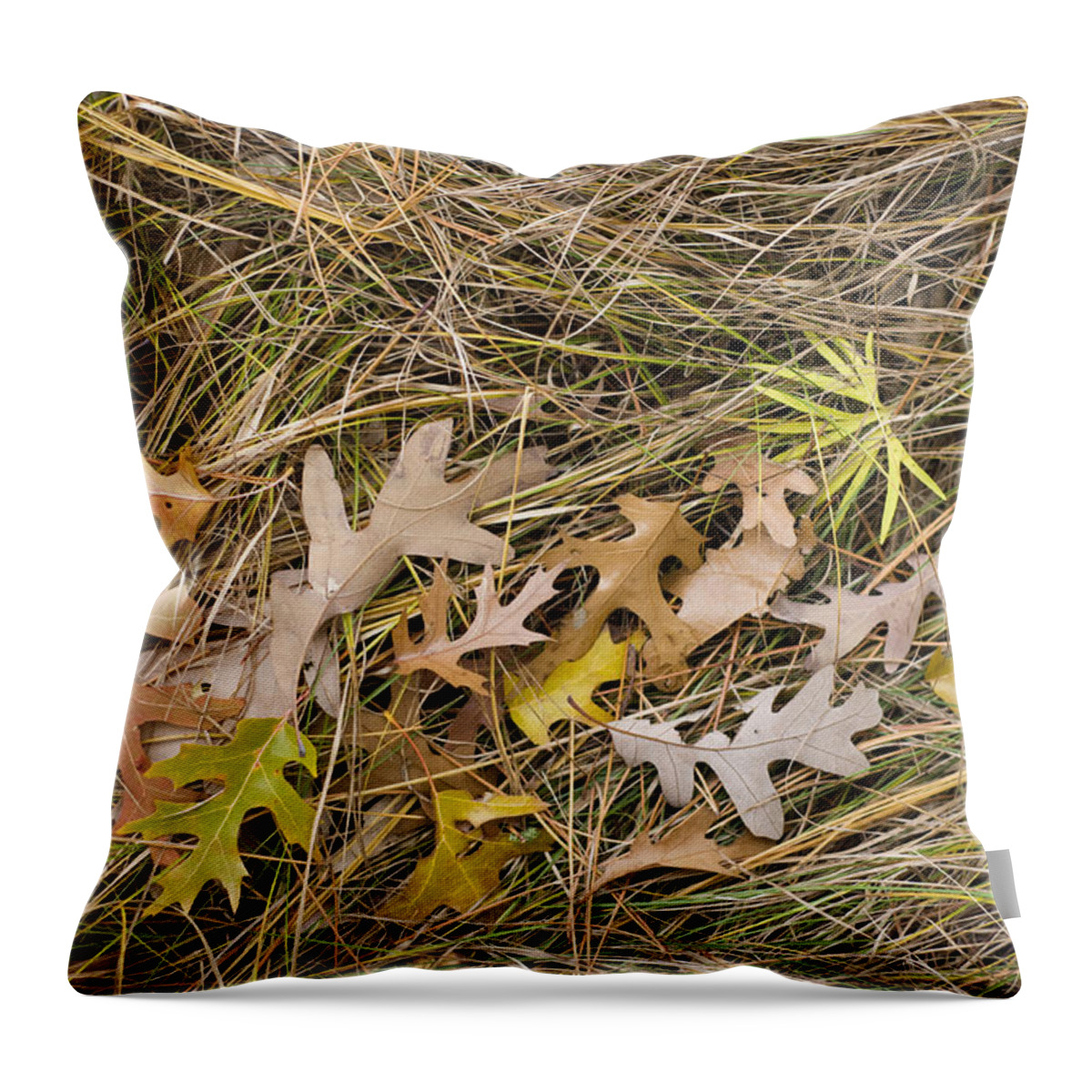 Oak Leaves Throw Pillow featuring the photograph Oak Leaves on Grass by Lynn Hansen
