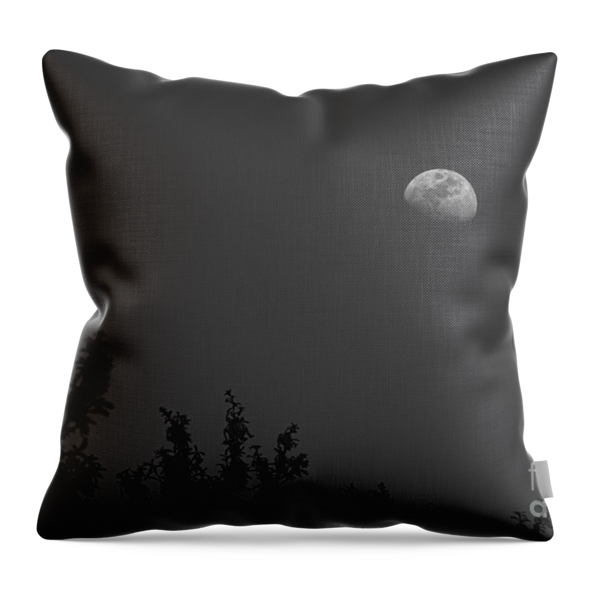 Moon Throw Pillow featuring the photograph Oak Moon - BW by D Wallace