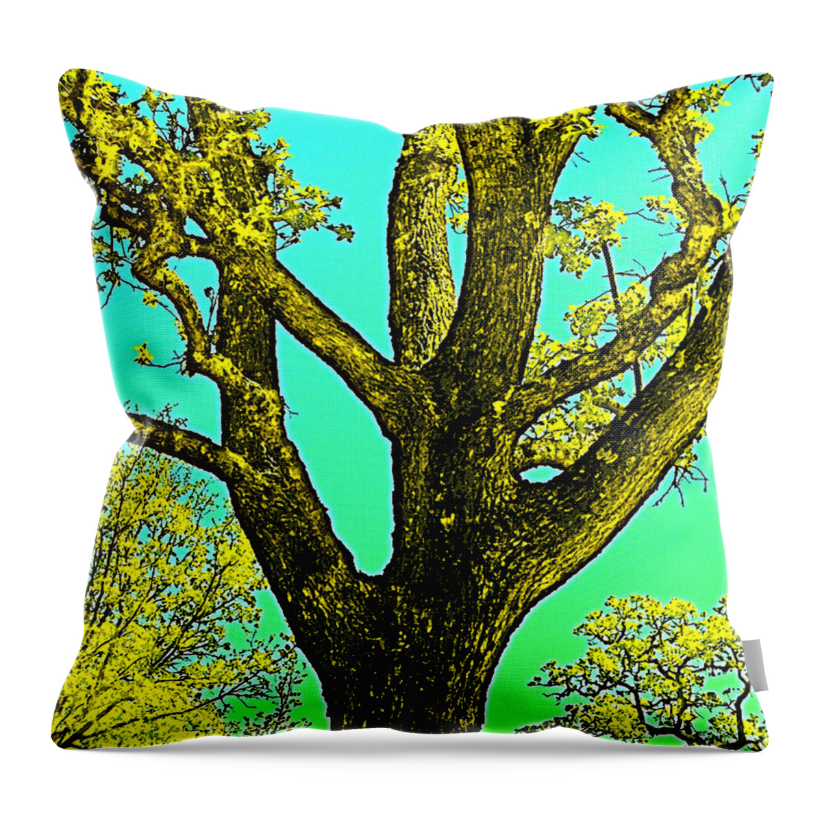 Oak Tree Throw Pillow featuring the photograph Oaks 3 by Pamela Cooper