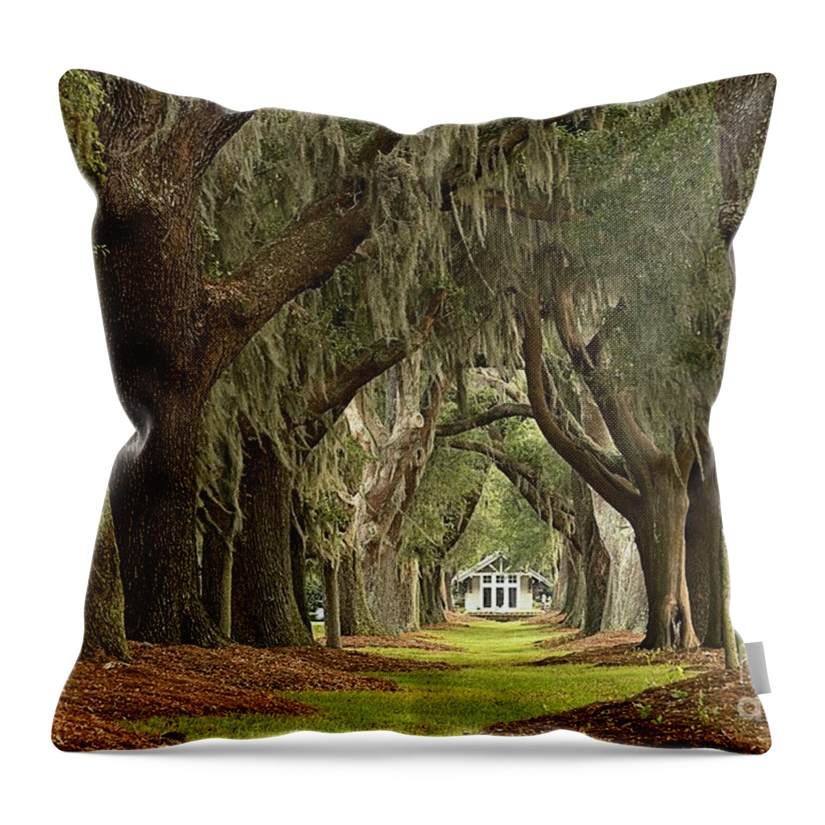 Avenue Of The Oaks Throw Pillow featuring the photograph Oaks Of The Golden Isles by Adam Jewell