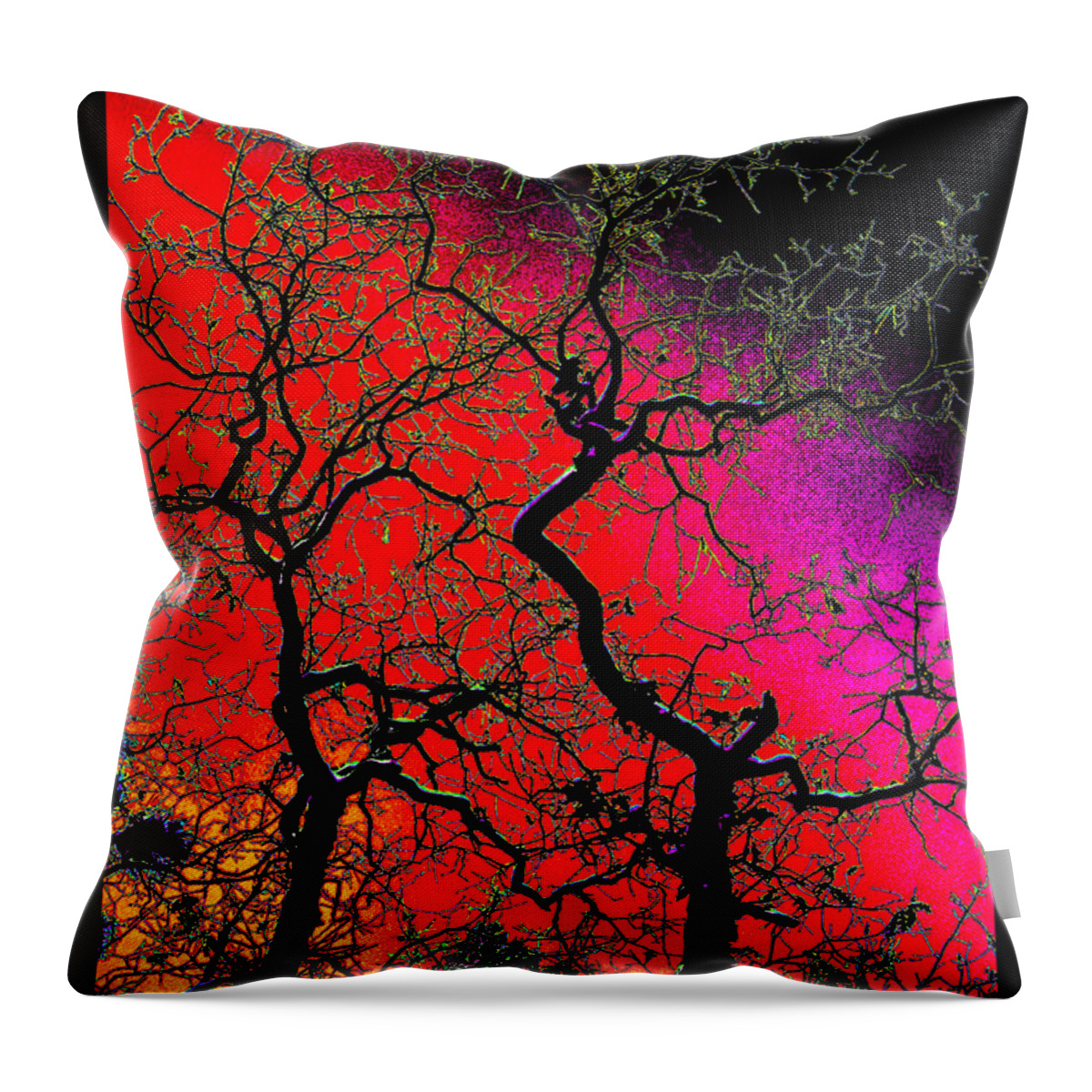 Oaks In Winter Throw Pillow featuring the photograph Oaks on Opening Night by Susanne Still
