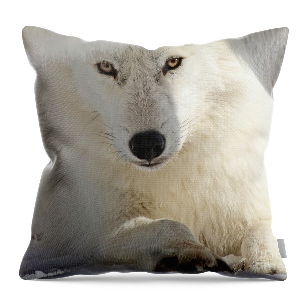 Inspire Throw Pillow featuring the photograph Obedience by Heather King
