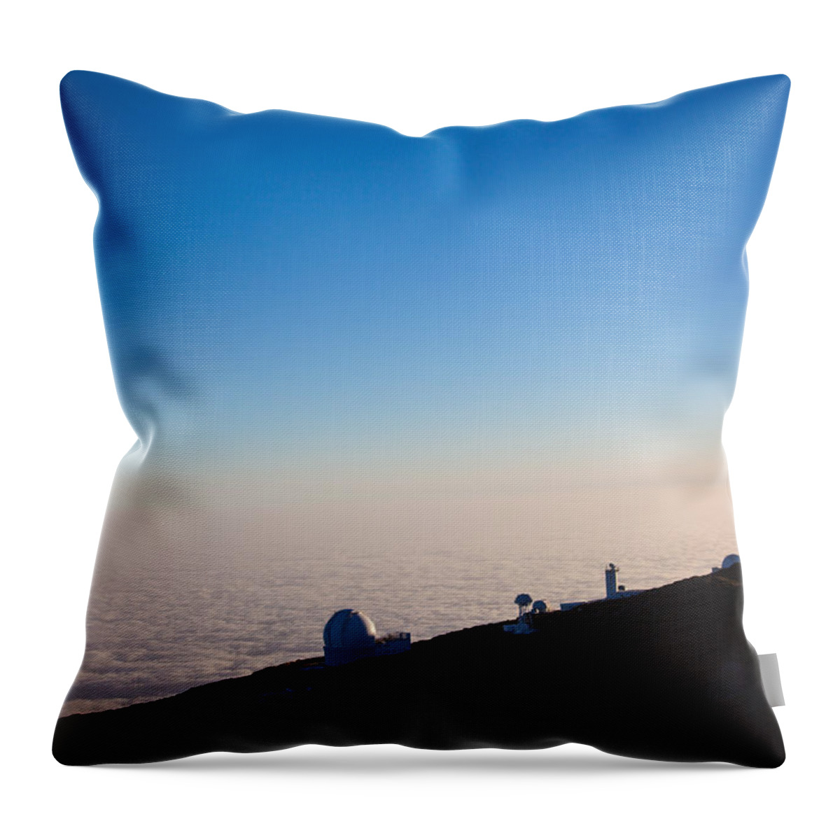  La Palma Throw Pillow featuring the photograph Observer by Ralf Kaiser