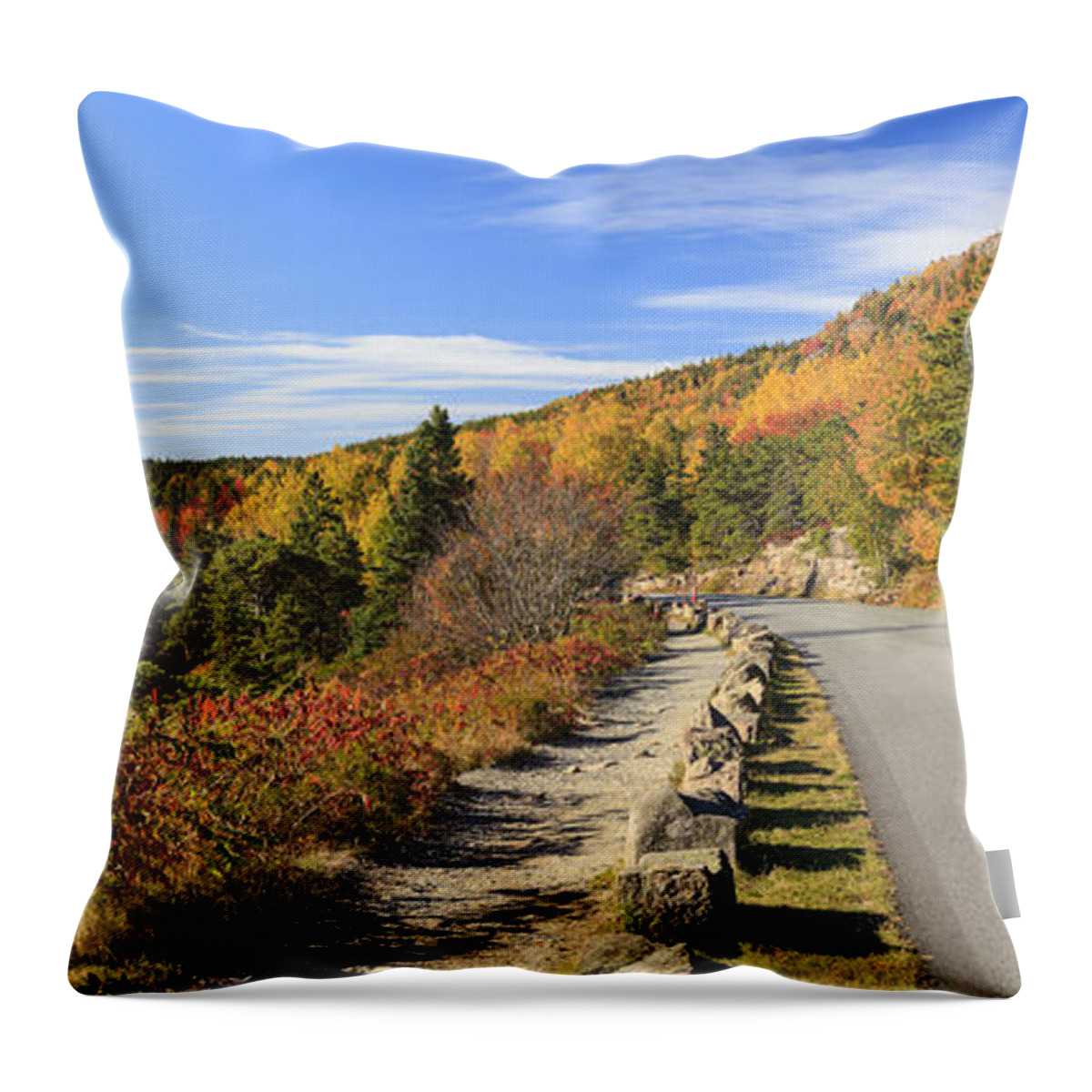 Otter Cliff Throw Pillow featuring the photograph Ocean Drive road panorama Acadia National Park by Ken Brown