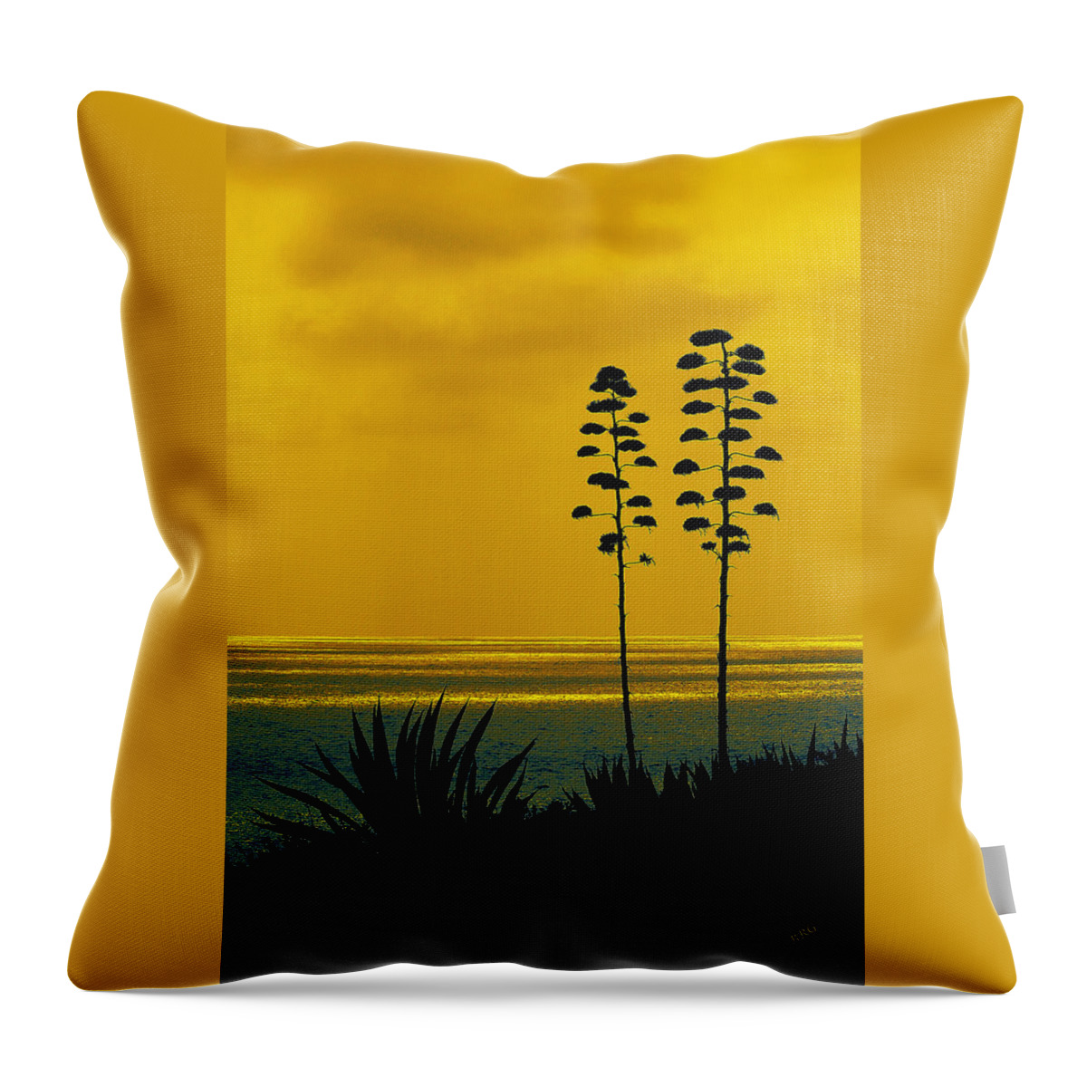 Sunset Throw Pillow featuring the photograph Ocean Sunset With Agave Silhouette by Ben and Raisa Gertsberg