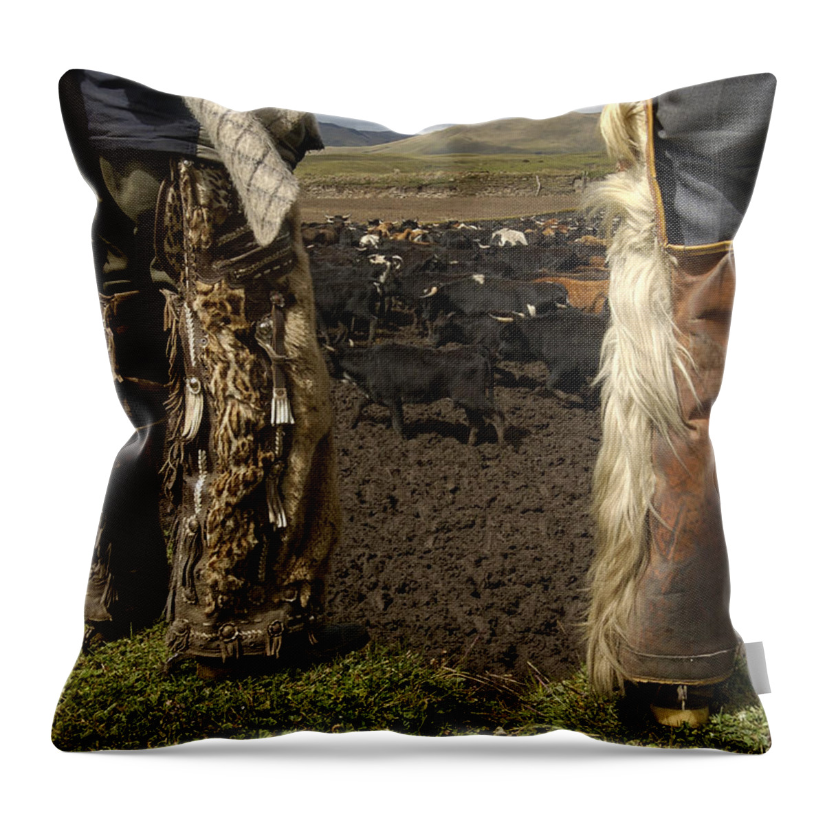 Feb0514 Throw Pillow featuring the photograph Ocelot Fur And Goat Hair Chaps Ecuador by Pete Oxford