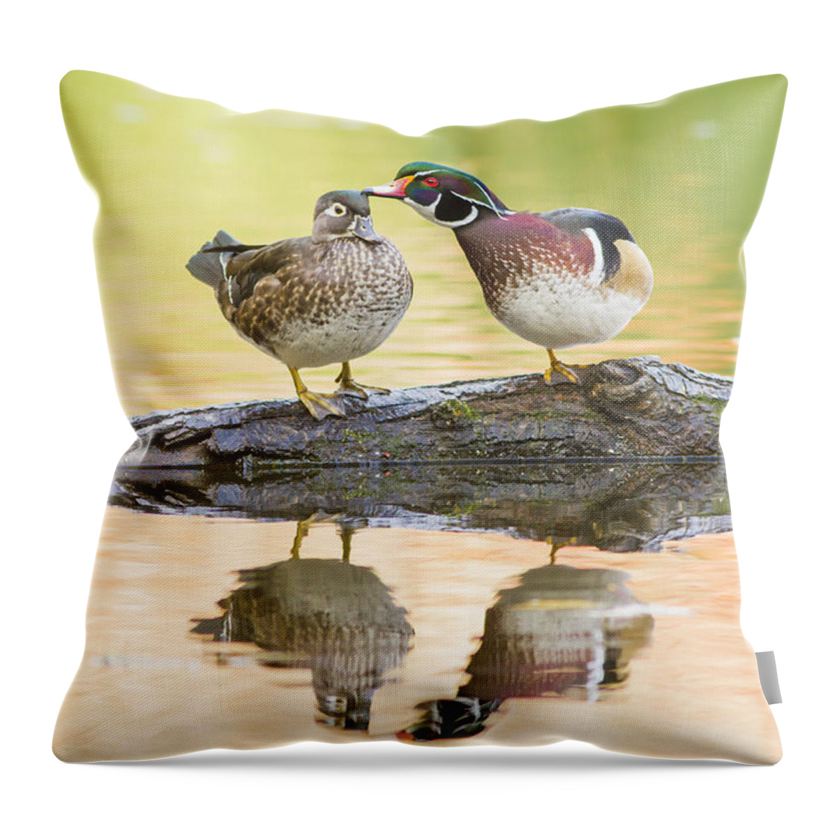 Wood-duck Throw Pillow featuring the photograph October Love Story by Mircea Costina Photography