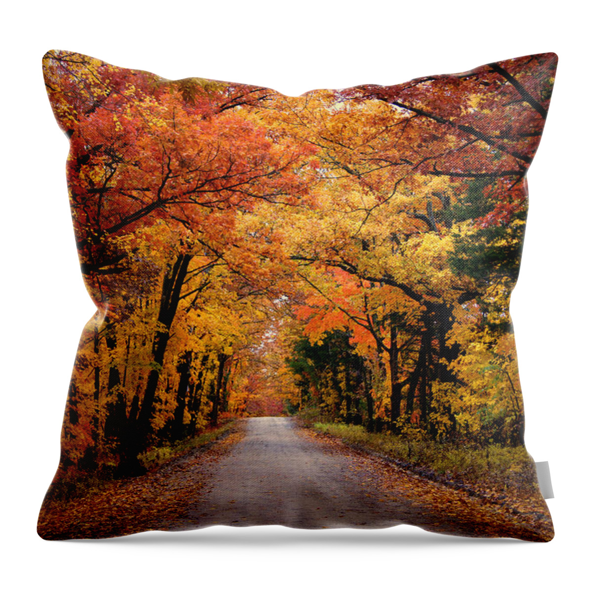 Fall Foliage Throw Pillow featuring the photograph October Road by Cricket Hackmann