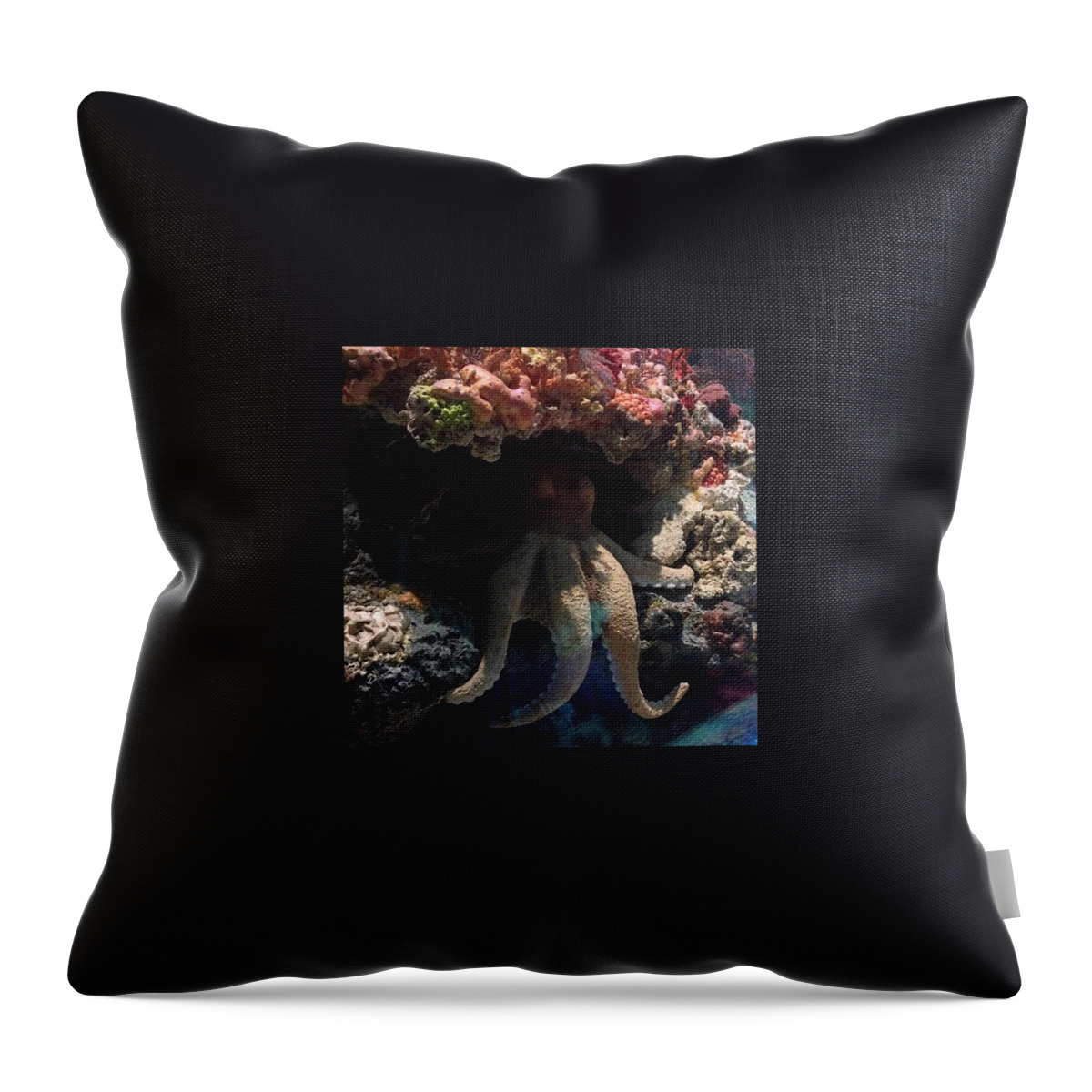  Throw Pillow featuring the photograph Octopus by Daniel Eskridge