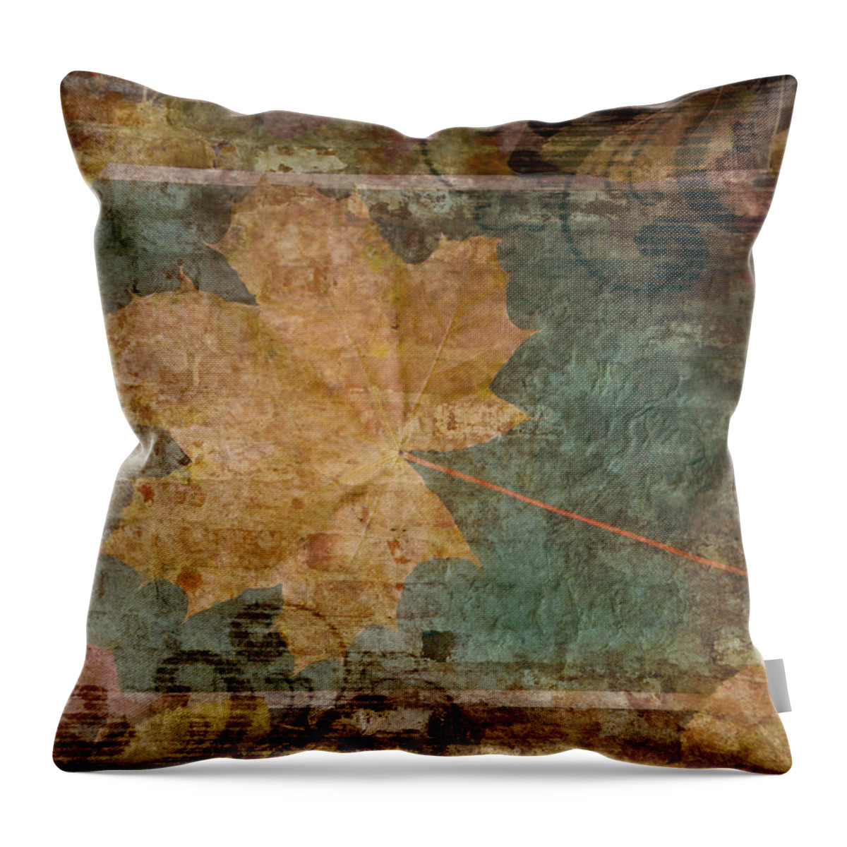 Autumn Throw Pillow featuring the photograph Ode To Autumn by Terri Harper