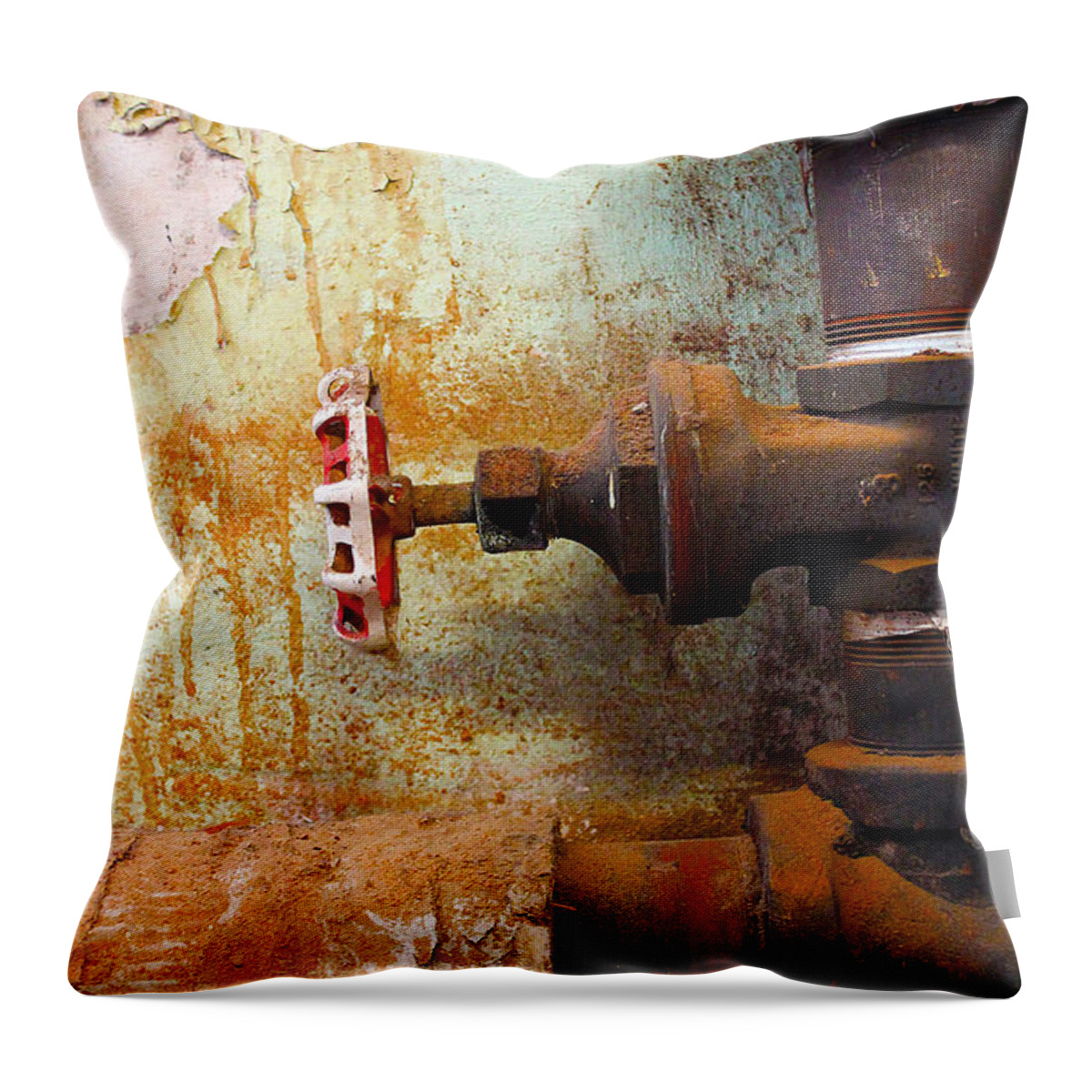 Rust Throw Pillow featuring the photograph Off by Nina Silver