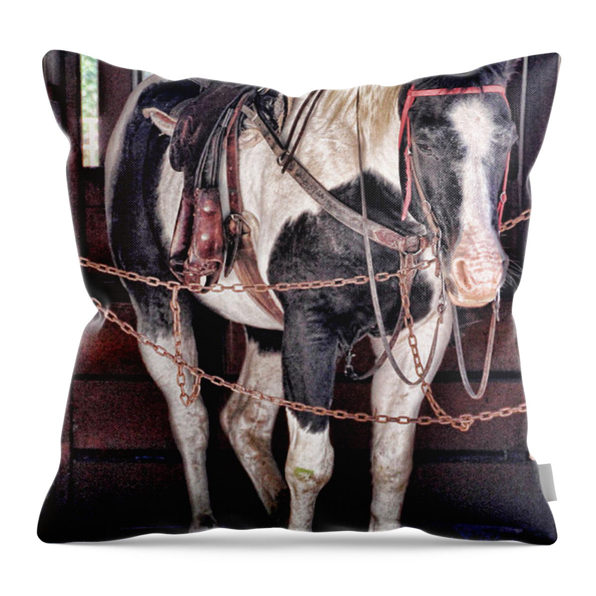 Horse Throw Pillow featuring the photograph Off the Clock by Elizabeth Winter