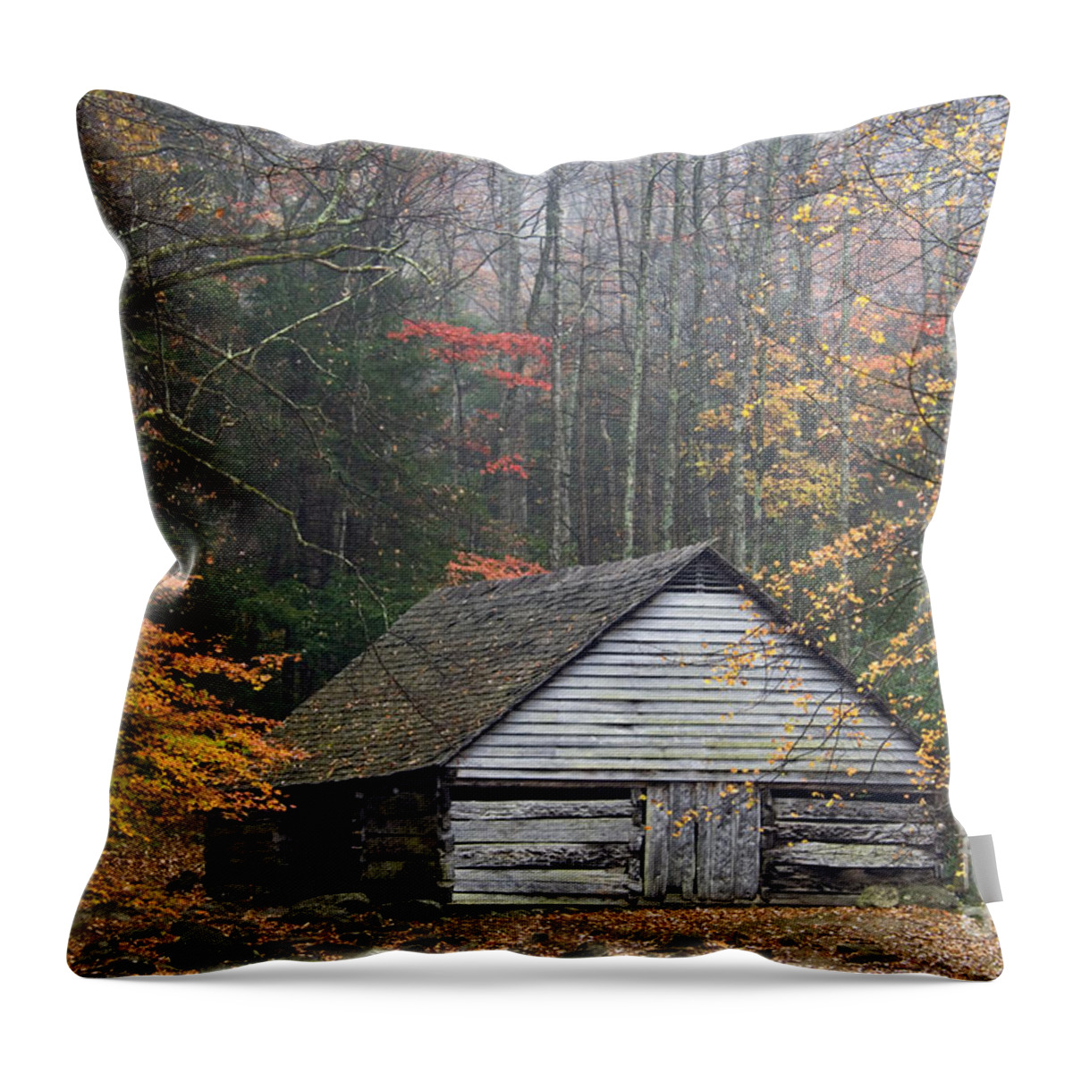 Noah Throw Pillow featuring the photograph Ogle Place - D008241 by Daniel Dempster