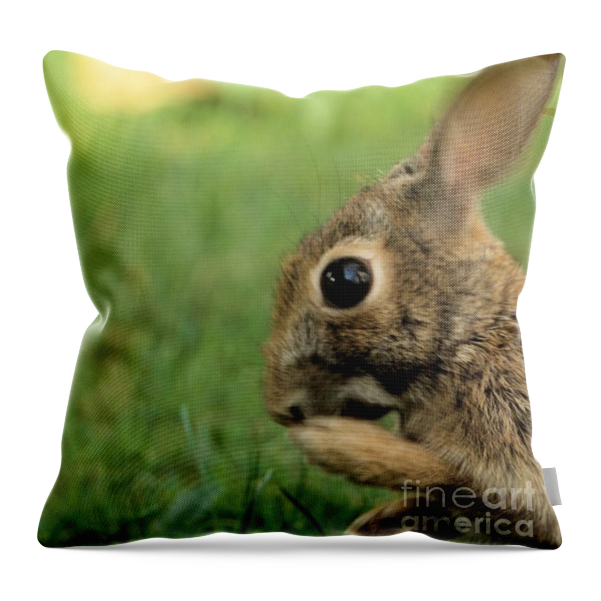 Bunny Throw Pillow featuring the photograph Oh My Easter is Almost Here by John Harmon