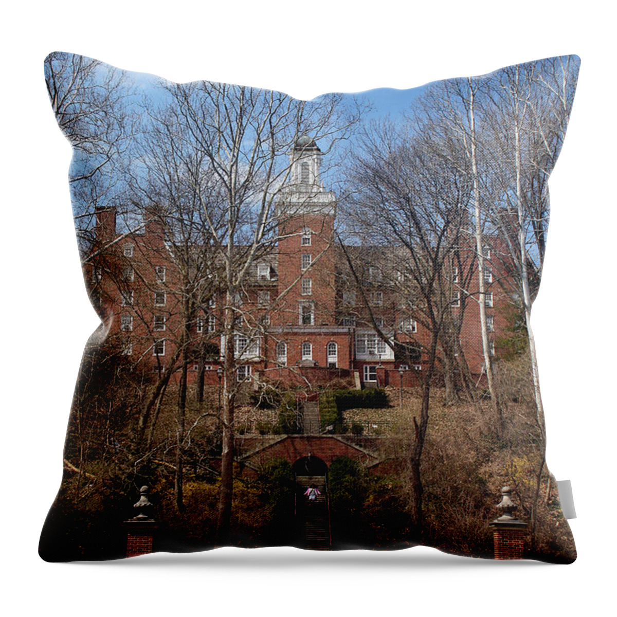 Ohio Throw Pillow featuring the photograph Ohio University Bryan Hall by Karen Adams