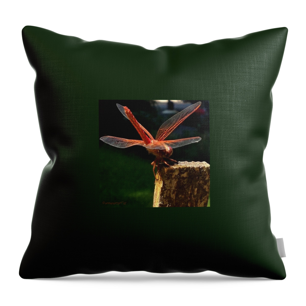 Dragonfly Throw Pillow featuring the photograph Ok, 10 Photos Are Enough! Step Away by Anna Porter