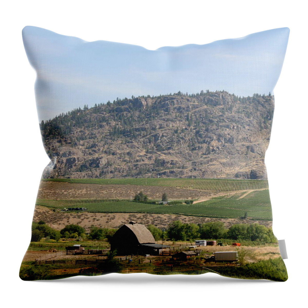 Farmland Throw Pillow featuring the photograph Okanagan Valley by Betty-Anne McDonald