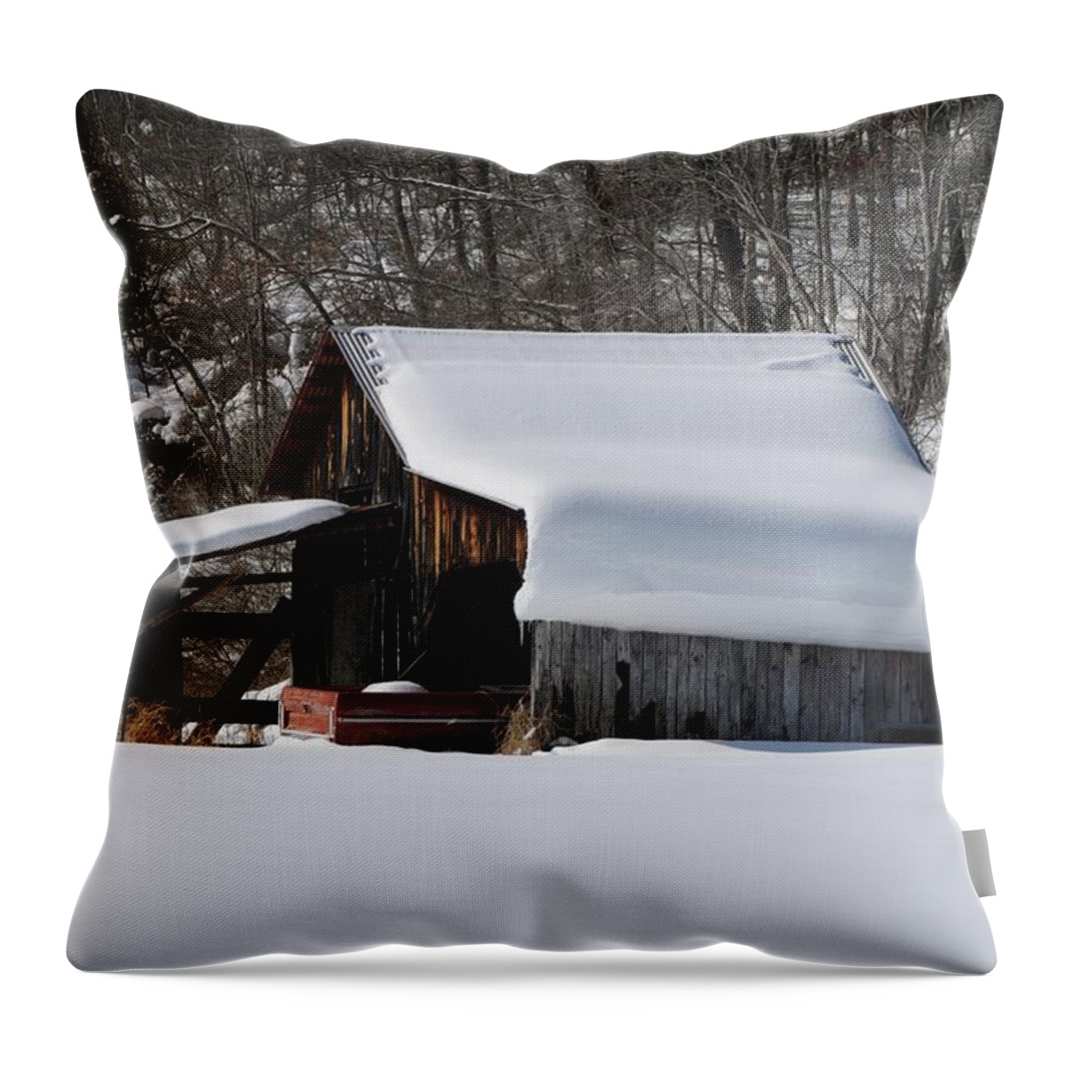 Snow Scene Throw Pillow featuring the photograph Okay I'm In by Jack Harries