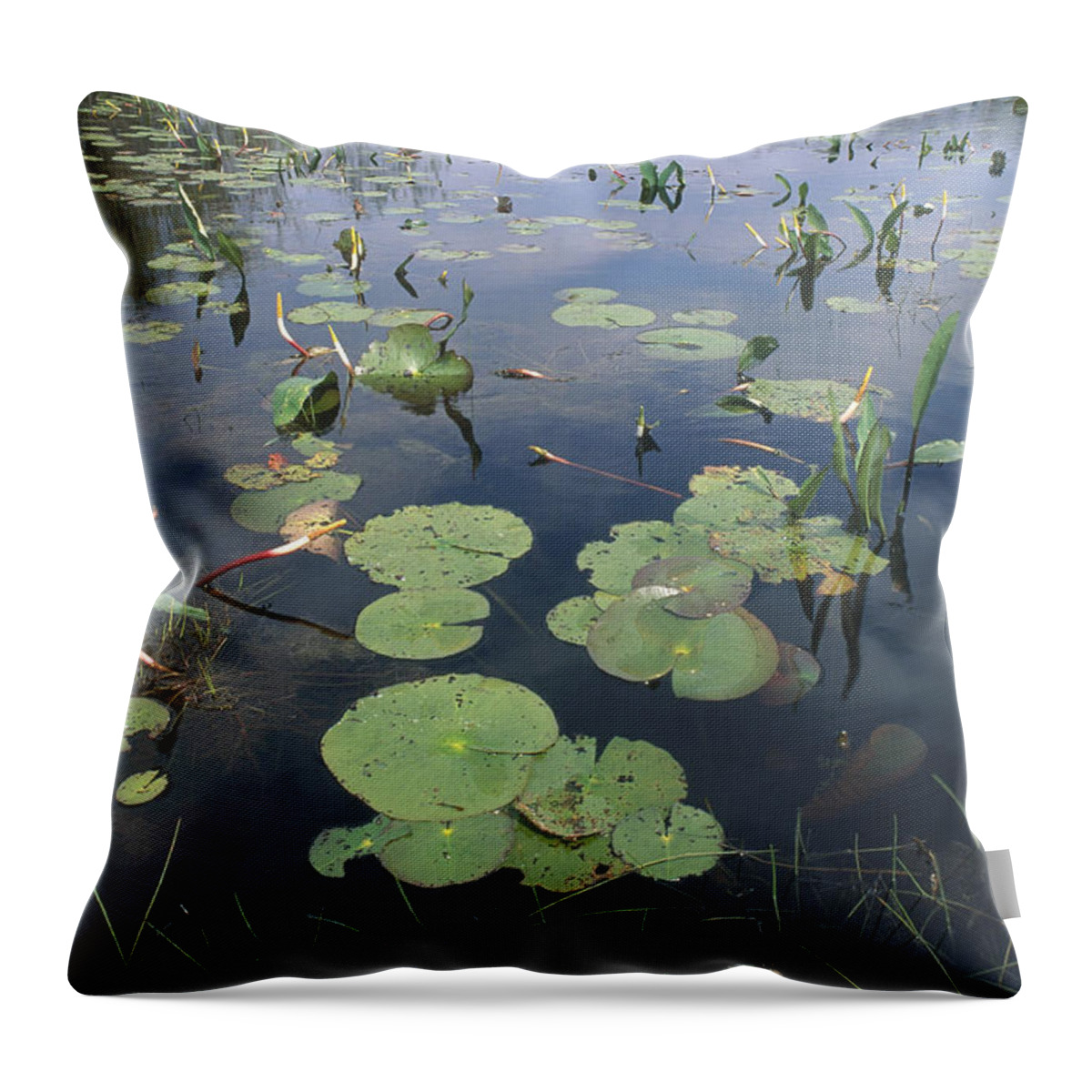 Chase Prairie Throw Pillow featuring the photograph Okefenokee Swamp by William H. Mullins