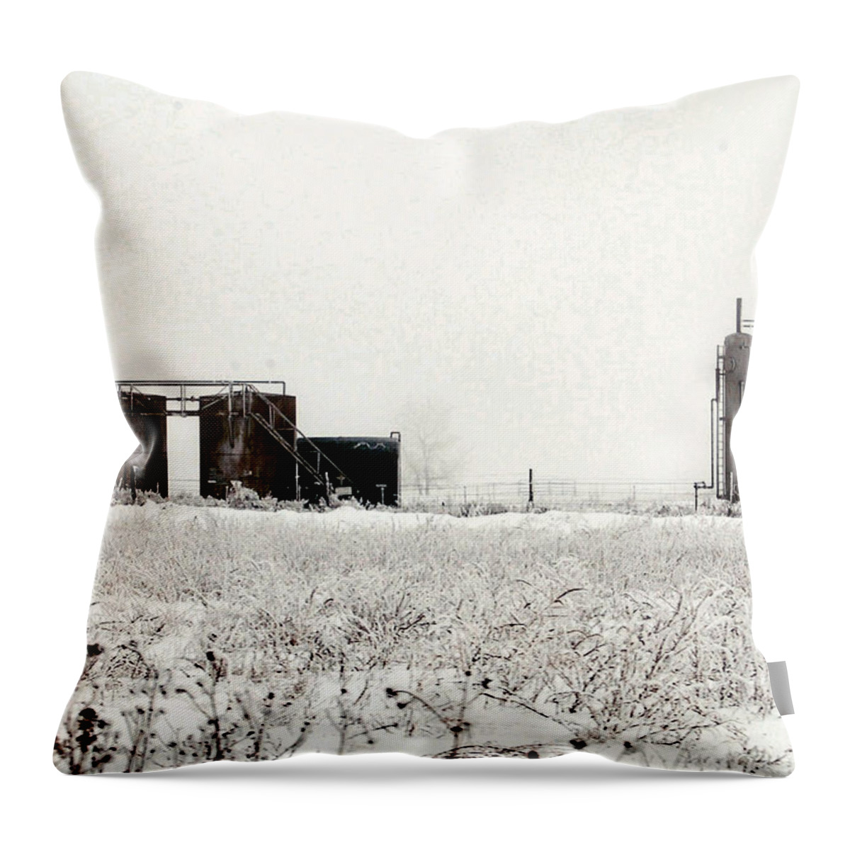 Landscape Throw Pillow featuring the photograph Oklahoma Wellsite by Anjanette Douglas