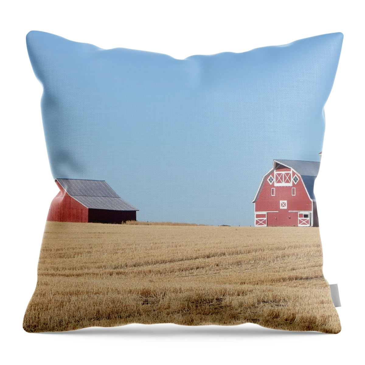 Barns Throw Pillow featuring the photograph Old and New by Ron Roberts