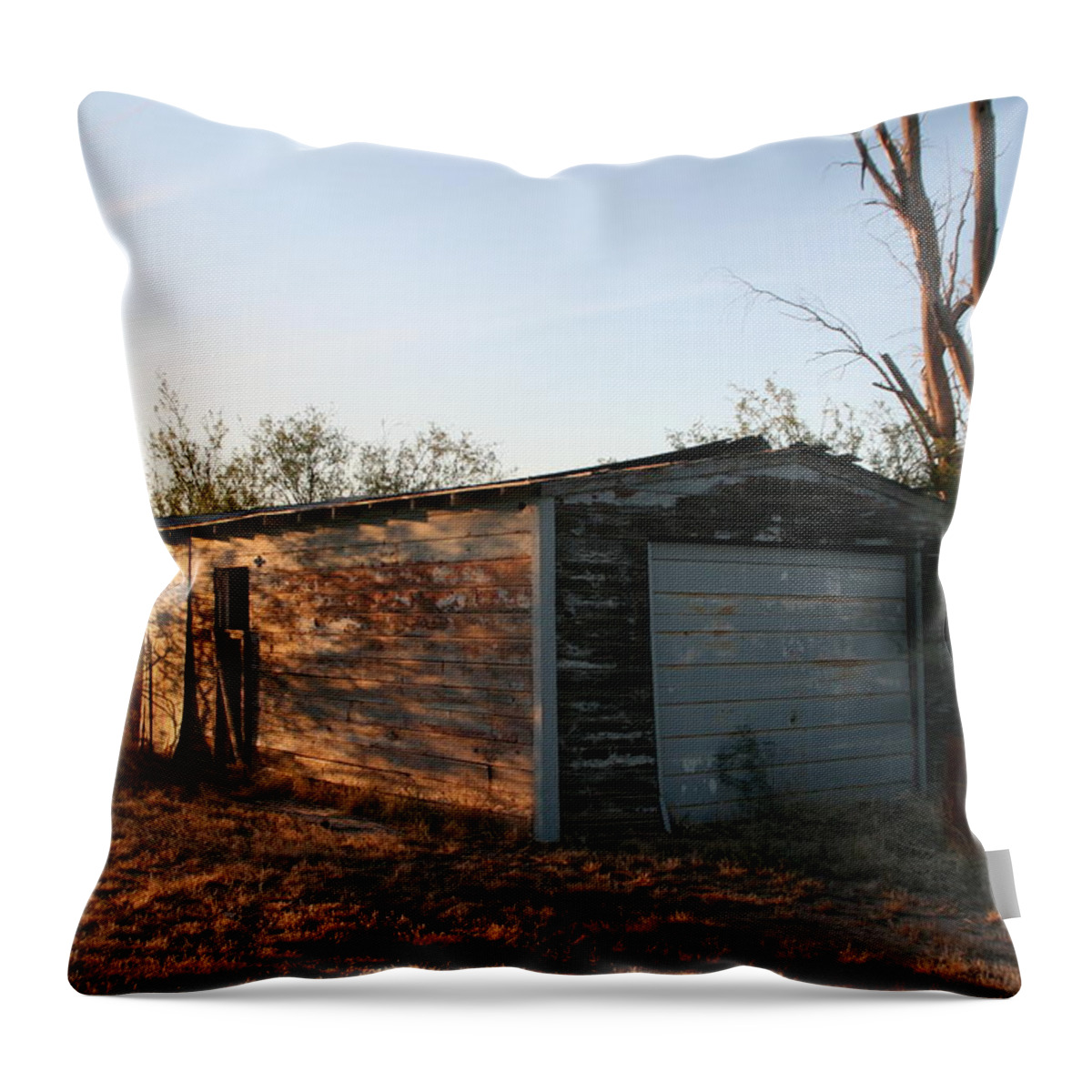 Tucson Throw Pillow featuring the photograph Old Barn #1 by David S Reynolds