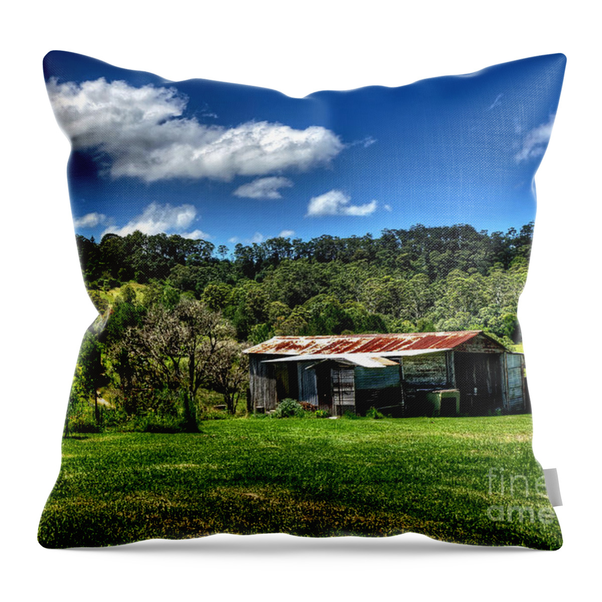 Photography Throw Pillow featuring the photograph Old Barn in Lush Green Countryside by Kaye Menner