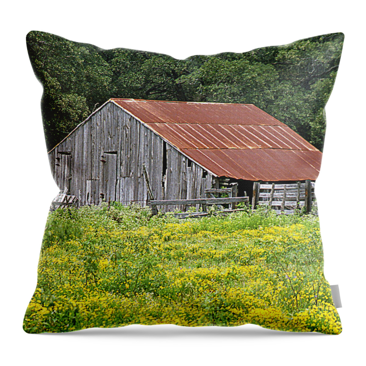 Structures Throw Pillow featuring the photograph Old Barn by Jim Smith