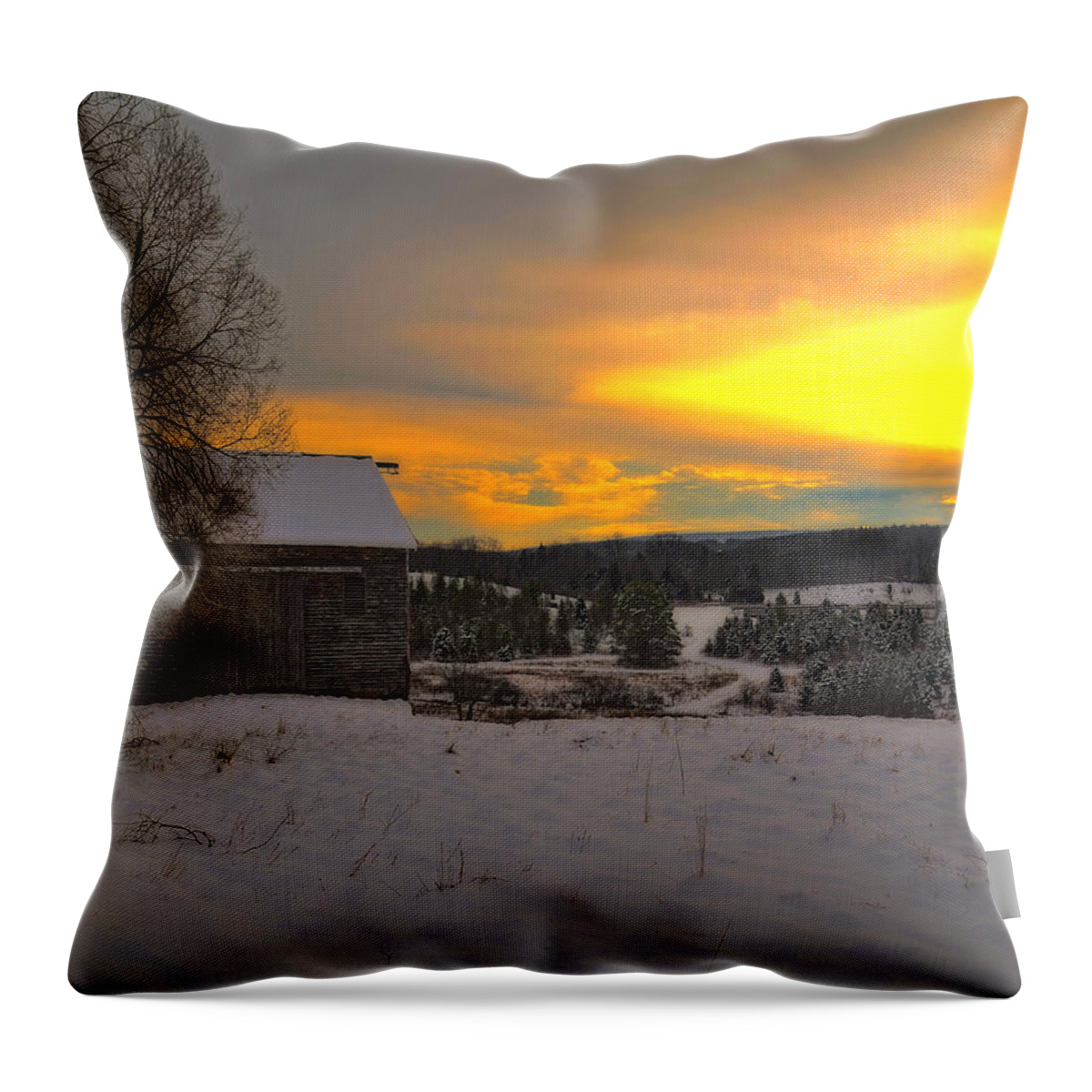 Morning Throw Pillow featuring the photograph Old barn on a winter morning by Dave Sandt