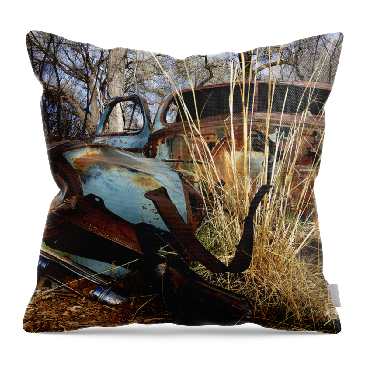 Photography Throw Pillow featuring the photograph Old Blue by Vicki Pelham